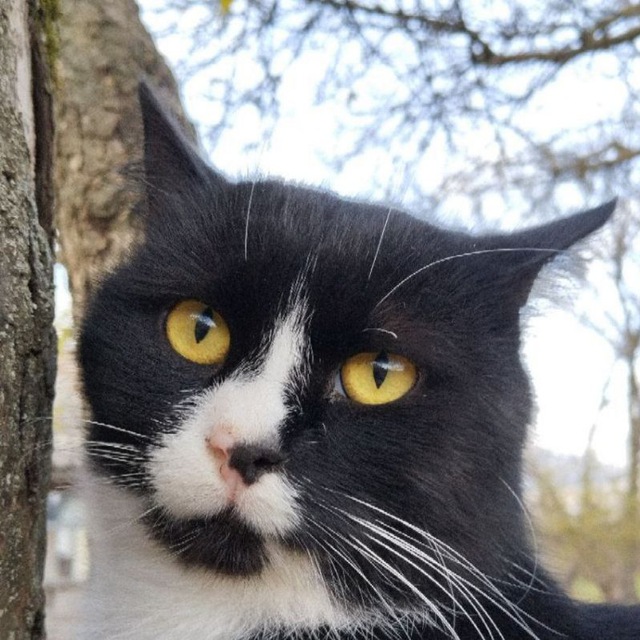 Снимки на заказ