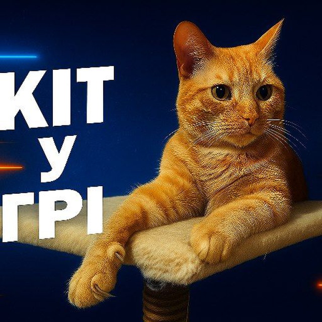 Кіт У Грі 🧐